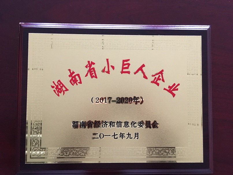 我司順利通過(guò)湖南省小巨人企業(yè)認(rèn)定